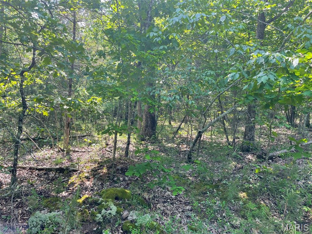 50.10 Acres Off Madison 9519 Property Photo 2