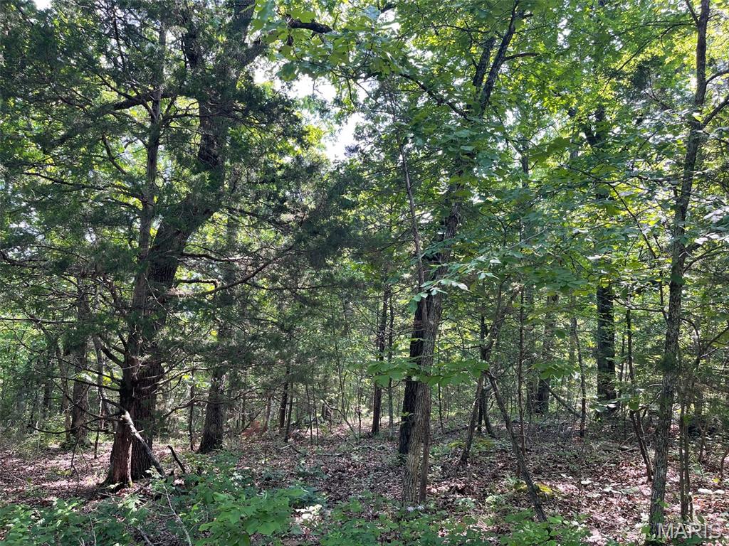 50.10 Acres Off Madison 9519 Property Photo 3