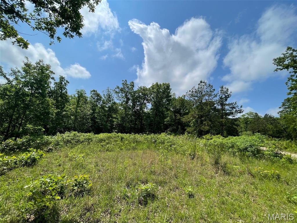 50.10 Acres Off Madison 9519 Property Photo 4