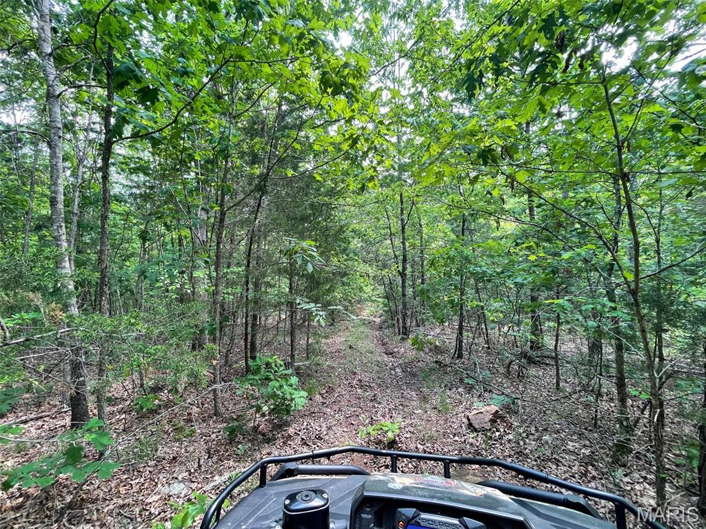 50.10 Acres Off Madison 9519 Property Photo 5