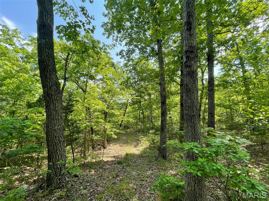 50.10 Acres Off Madison 9519 Property Photo 6
