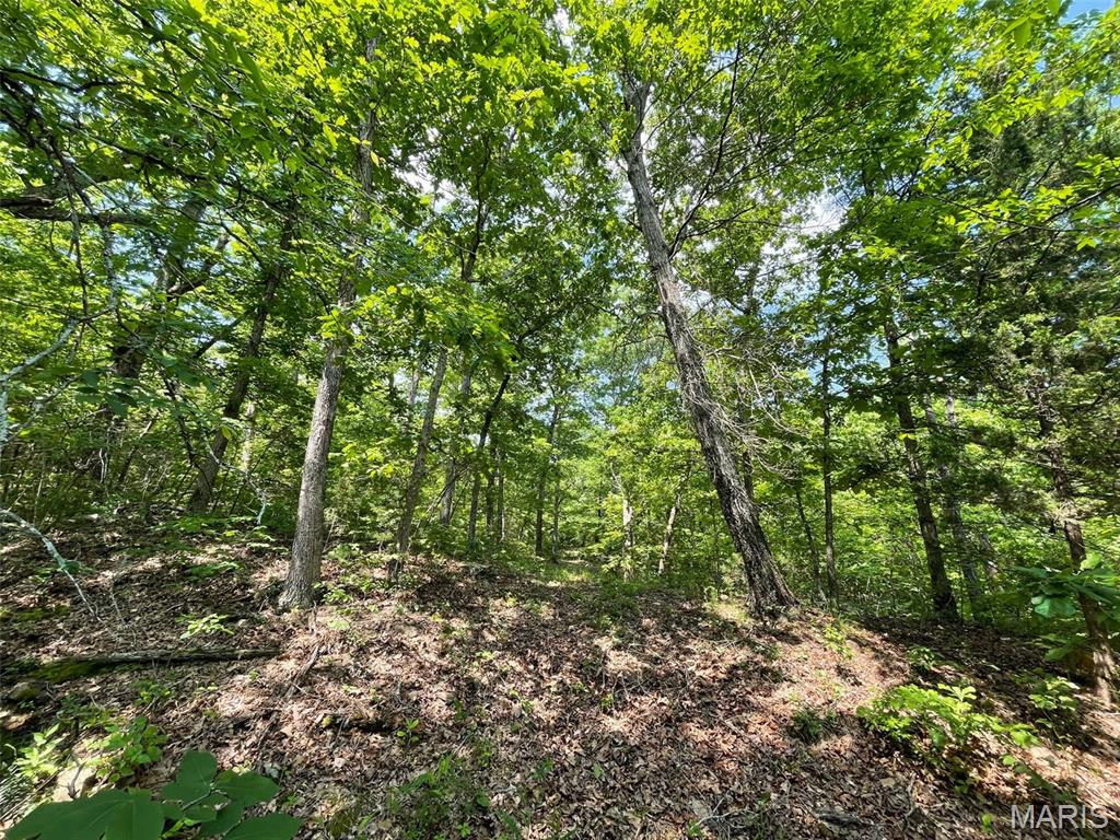 50.10 Acres Off Madison 9519 Property Photo 7