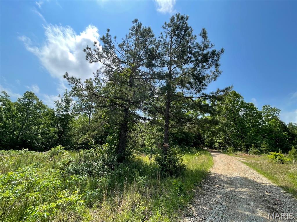 50.10 Acres Off Madison 9519 Property Photo 11