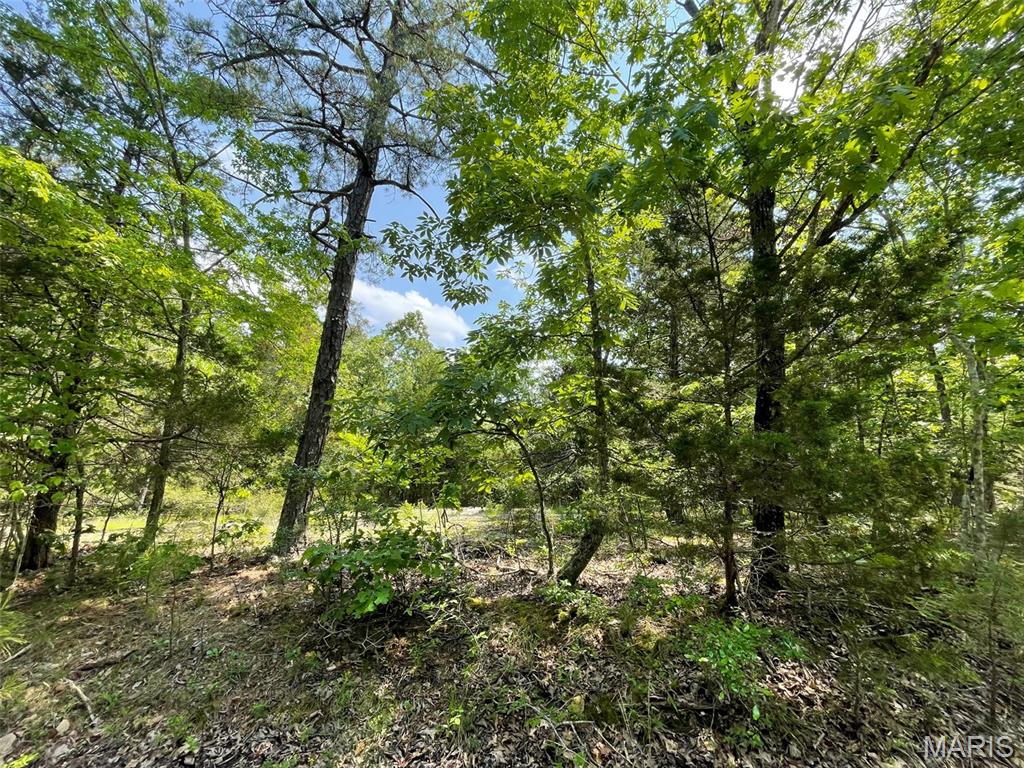 50.10 Acres Off Madison 9519 Property Photo 12