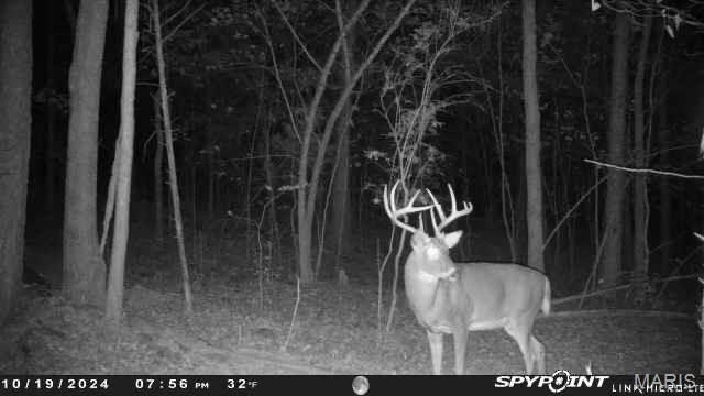 50.10 Acres Off Madison 9519 Property Photo 19