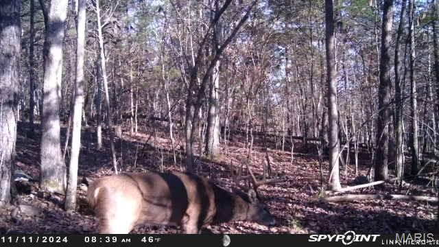 50.10 Acres Off Madison 9519 Property Photo 20