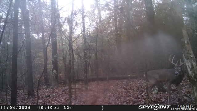 50.10 Acres Off Madison 9519 Property Photo 21