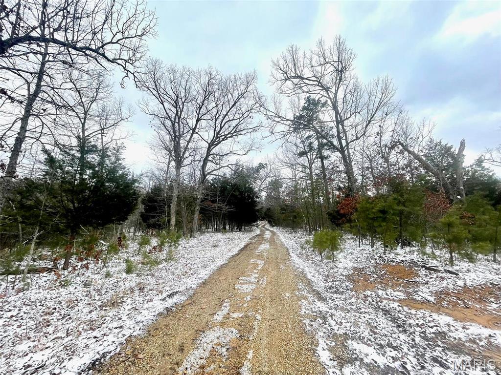 50.10 Acres Off Madison 9519 Property Photo 22