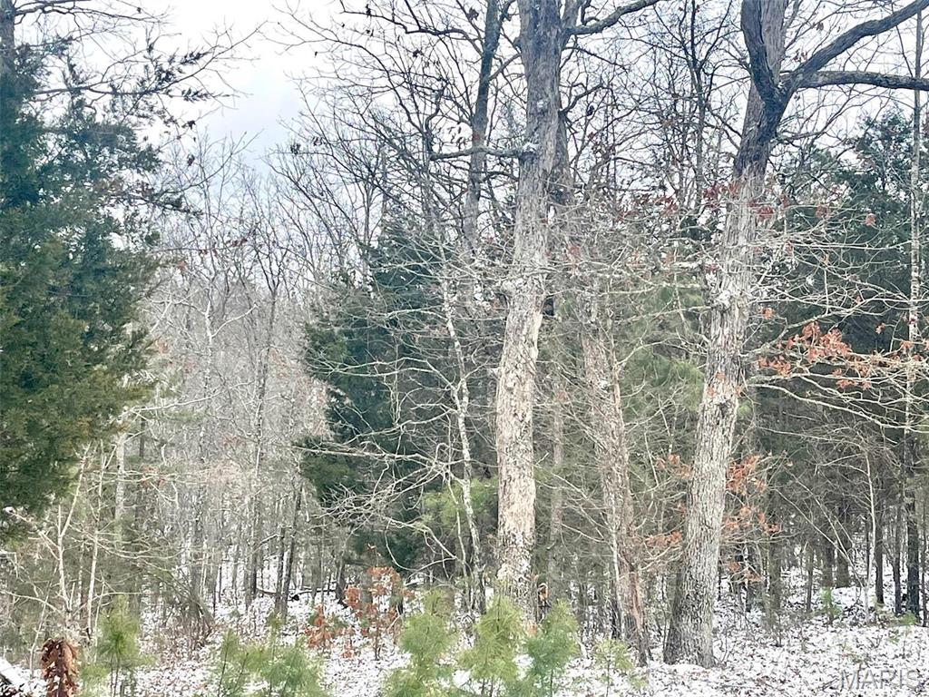 50.10 Acres Off Madison 9519 Property Photo 24