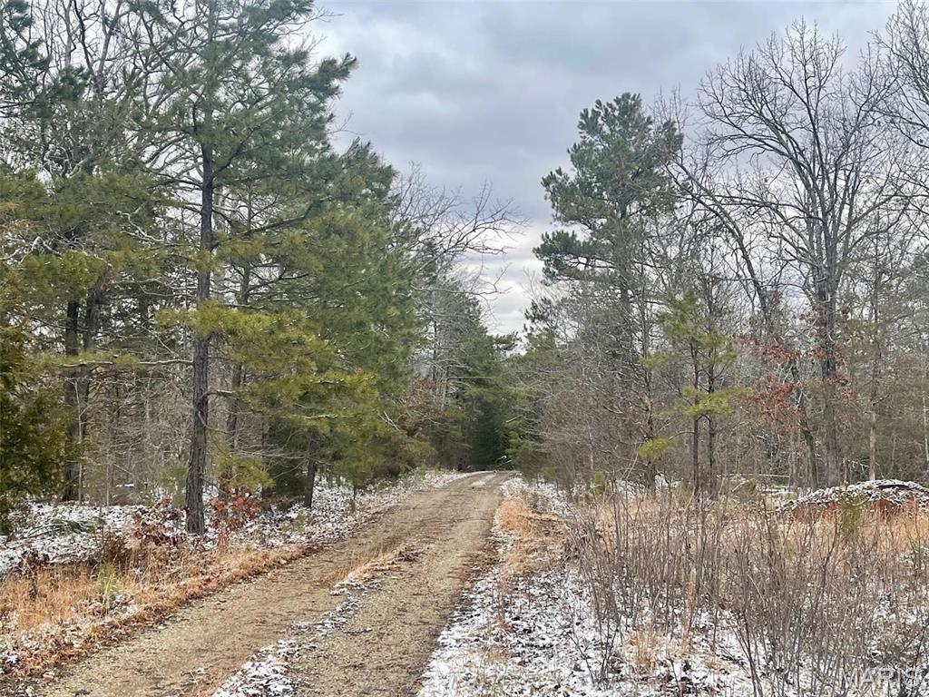 50.10 Acres Off Madison 9519 Property Photo 25