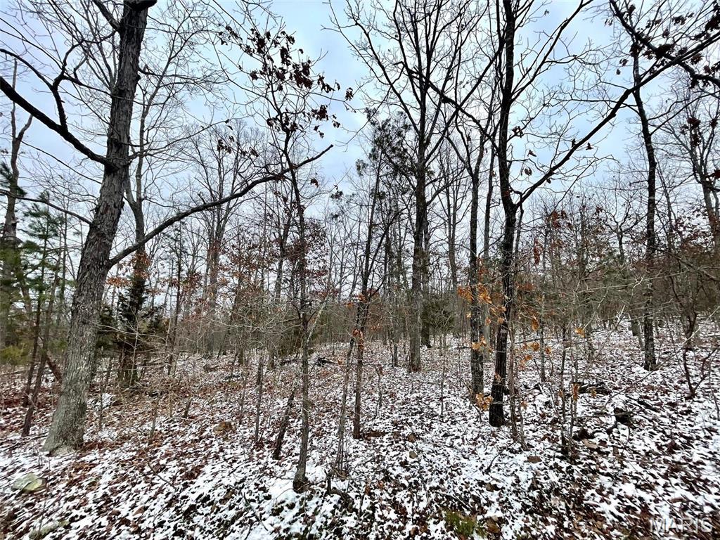 50.10 Acres Off Madison 9519 Property Photo 26