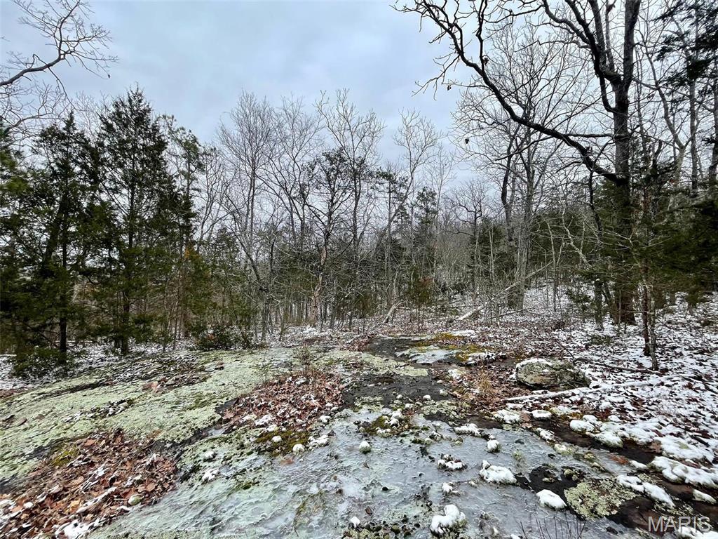 50.10 Acres Off Madison 9519 Property Photo 27