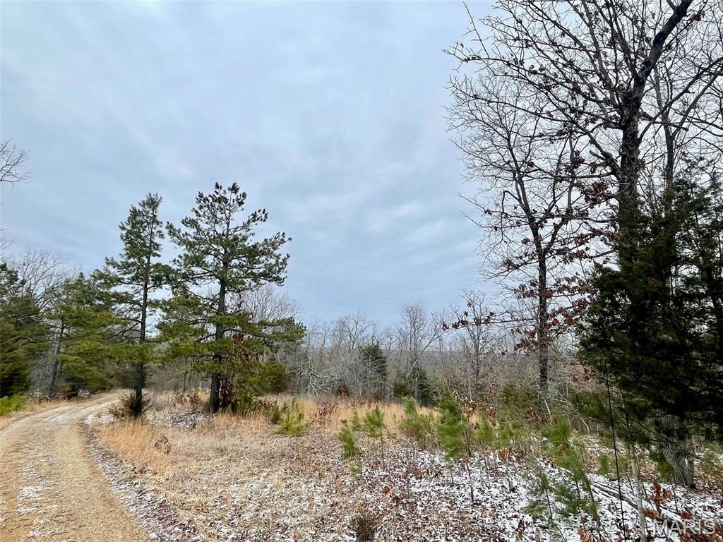 50.10 Acres Off Madison 9519 Property Photo 28