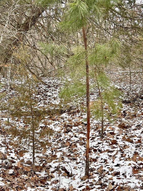 50.10 Acres Off Madison 9519 Property Photo 29