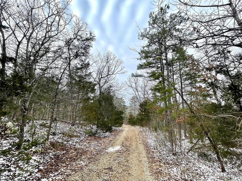 50.10 Acres Off Madison 9519 Property Photo 30