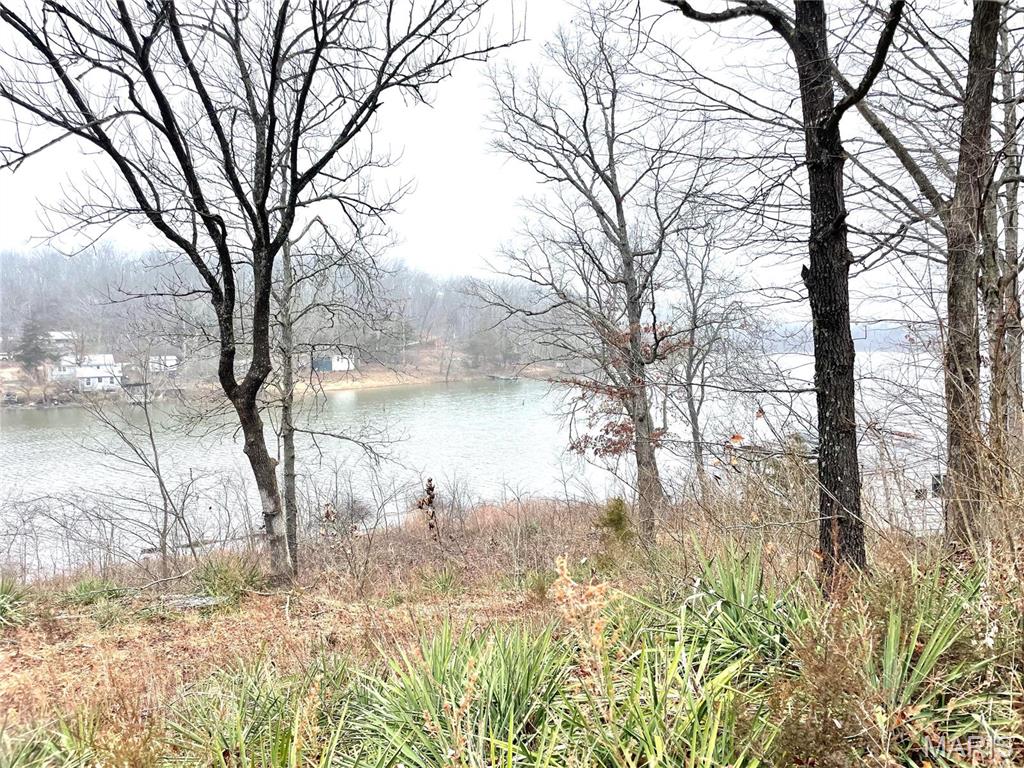 1203 E Lake Drive Property Photo 10