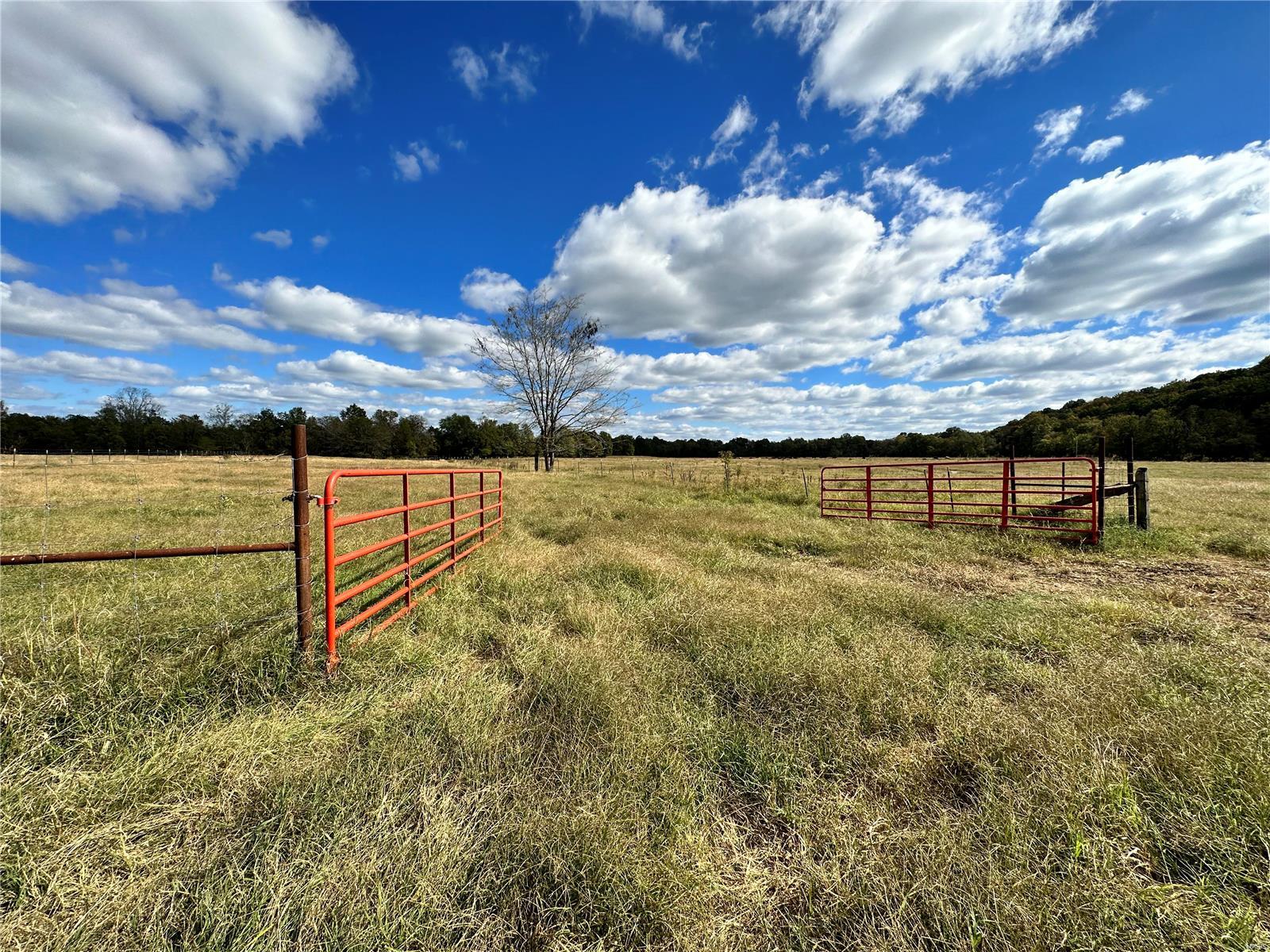 0 Lot 13 Property Photo 53
