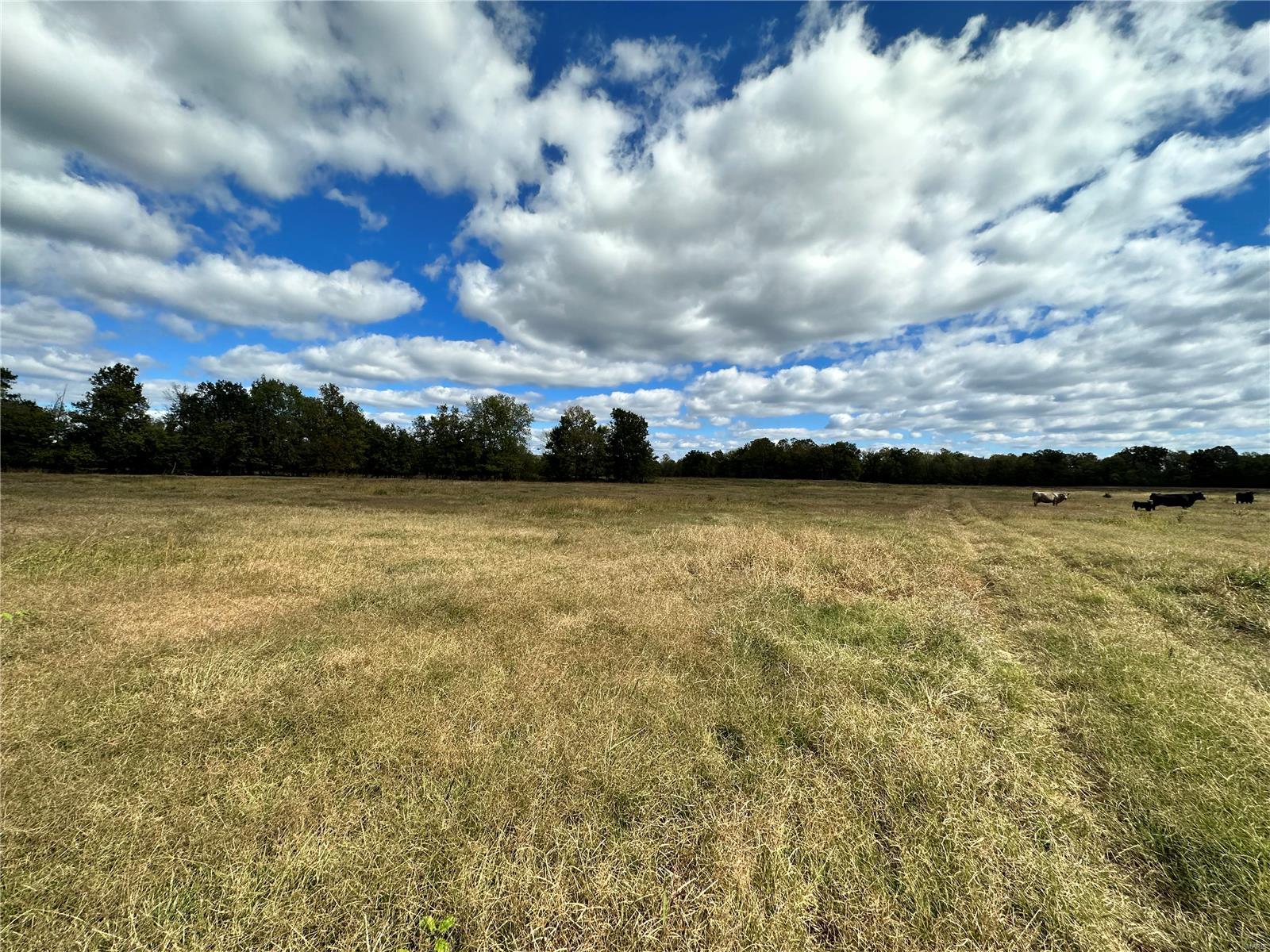 0 Lot 13 Property Photo 64