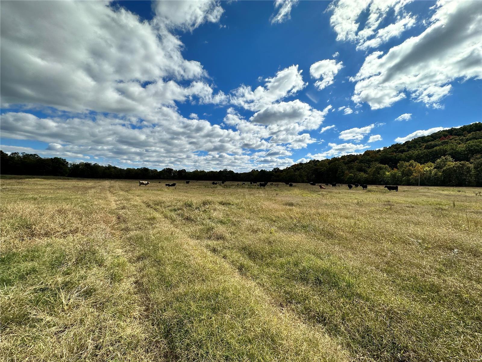 0 Lot 13 Property Photo 65