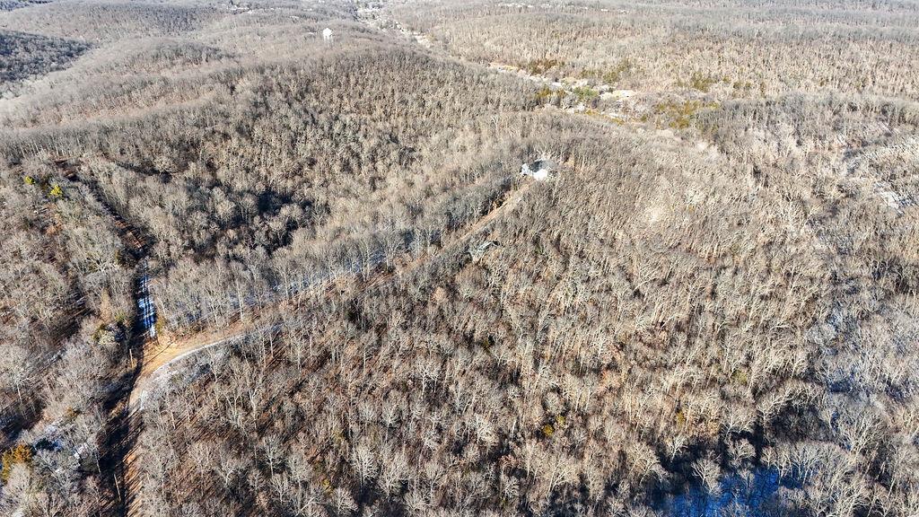 5507 Gods Mountain Drive Property Photo 6