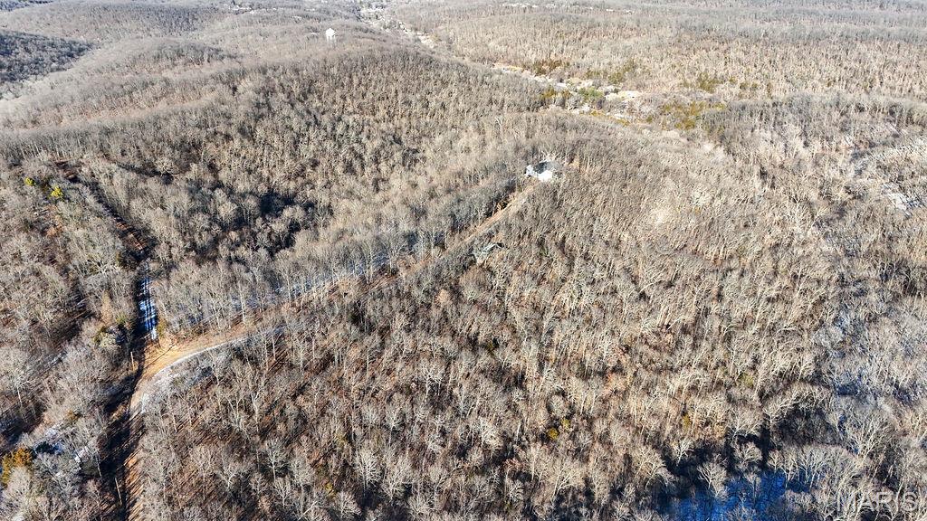 5507 Gods Mountain Drive Property Photo 6