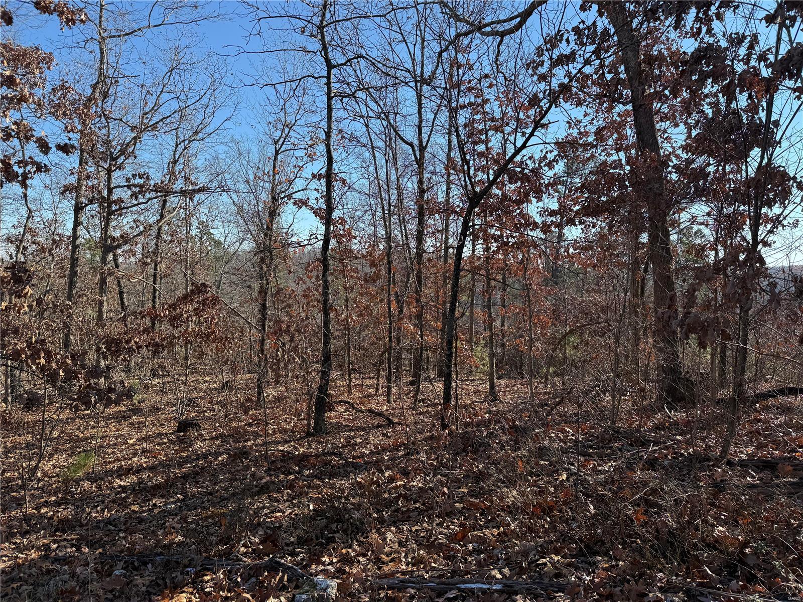 1 A Off Bidwell Creek Road Property Photo 2