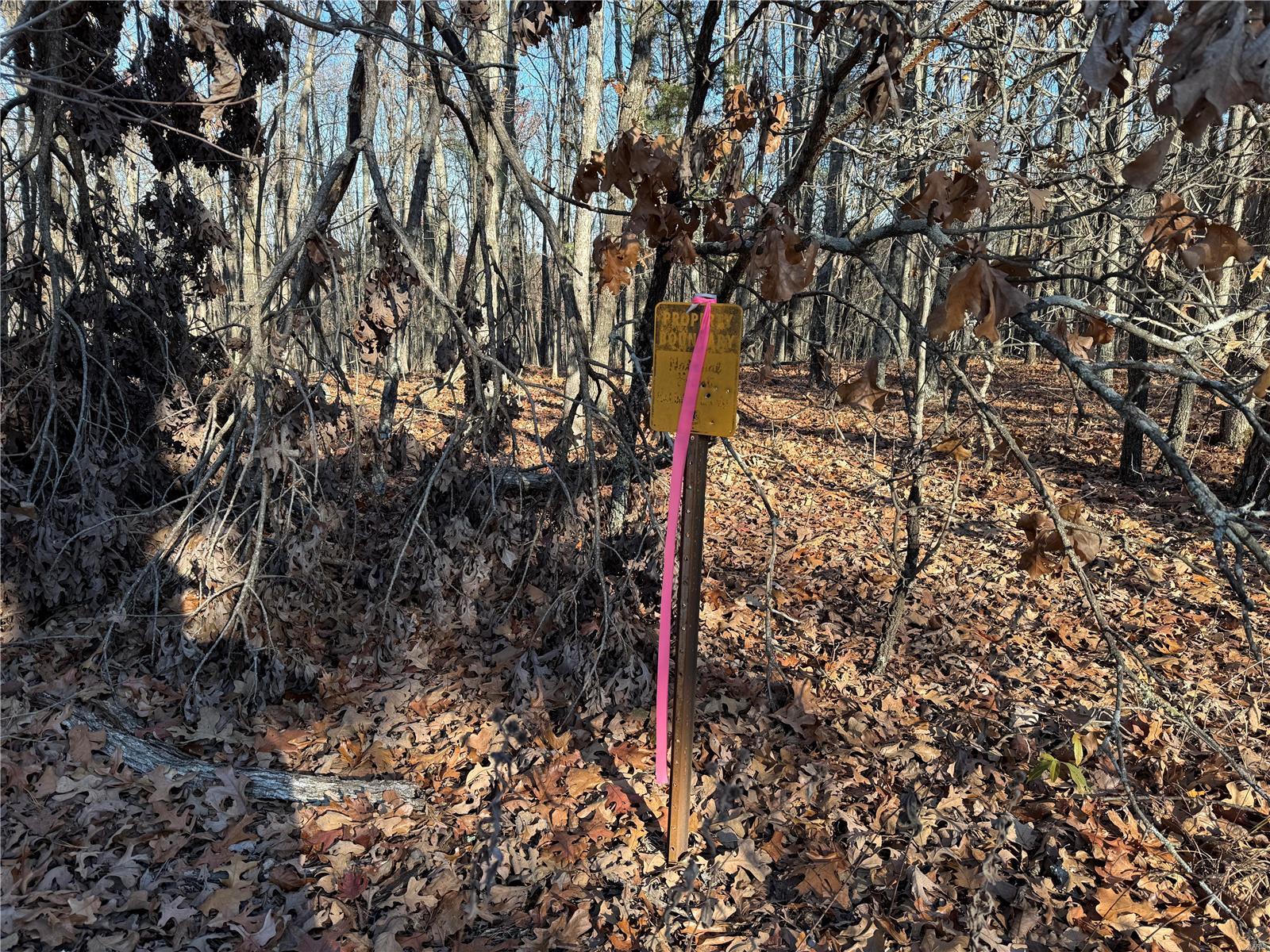 1 A Off Bidwell Creek Road Property Photo 3