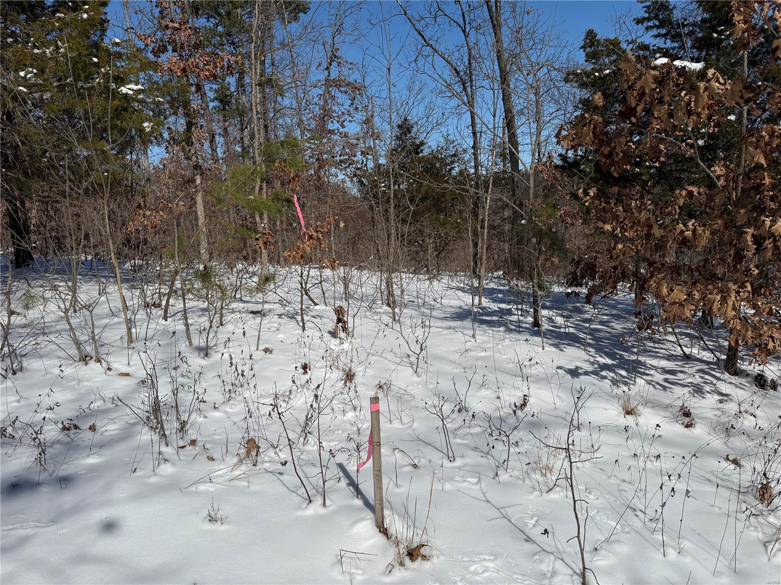 1 A Off Bidwell Creek Road Property Photo 5