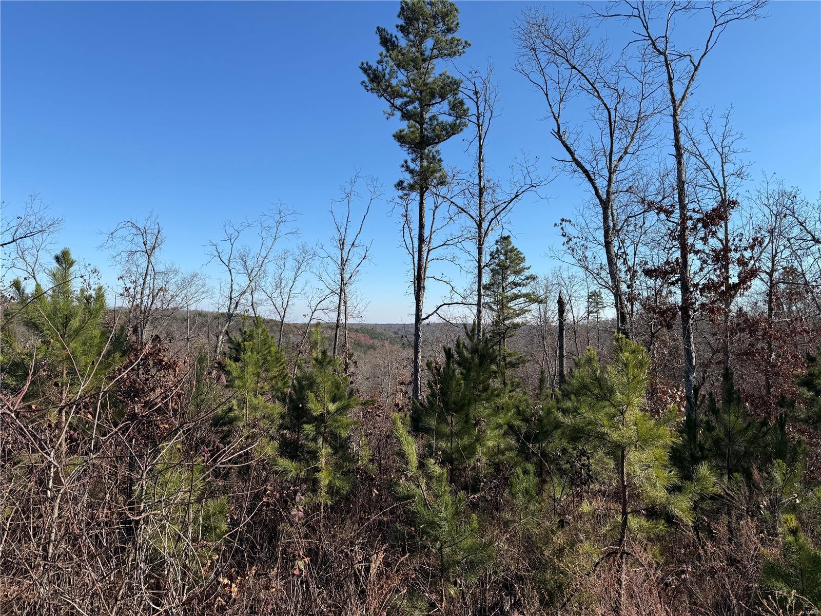 1 A Off Bidwell Creek Road Property Photo 6