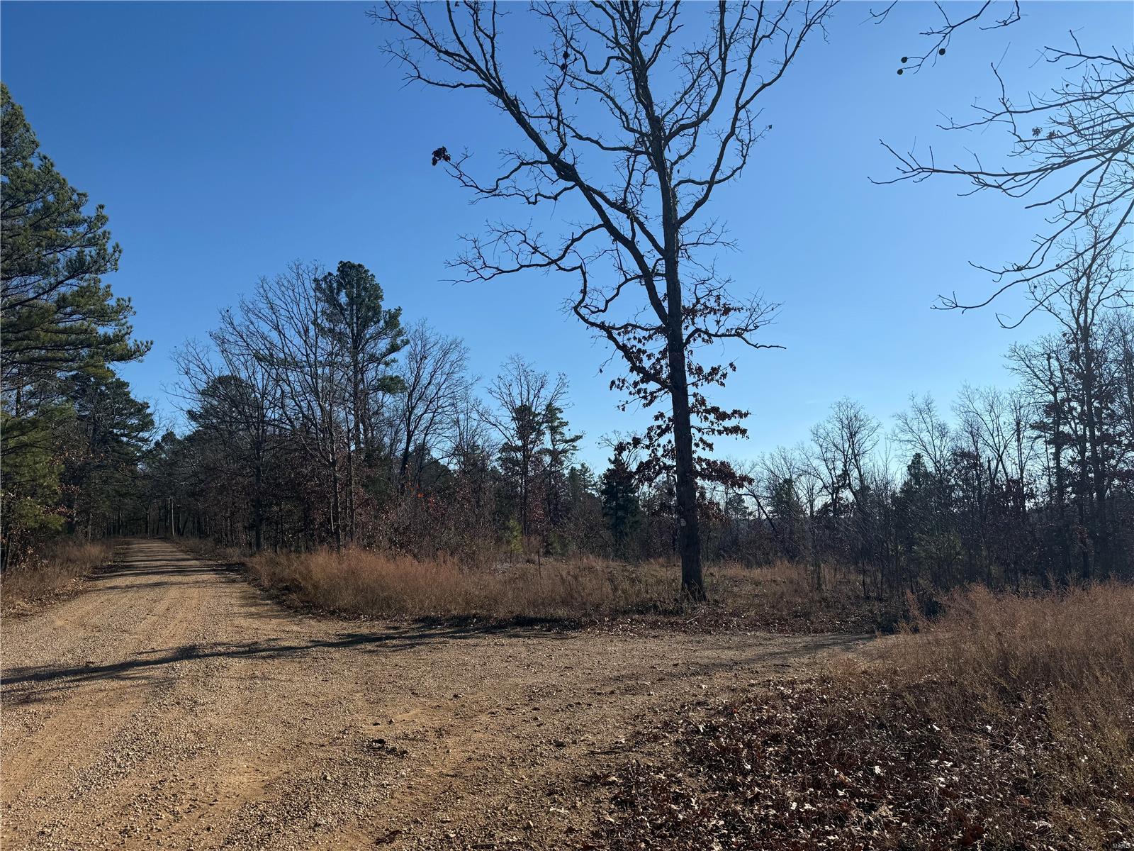 1 A Off Bidwell Creek Road Property Photo 7