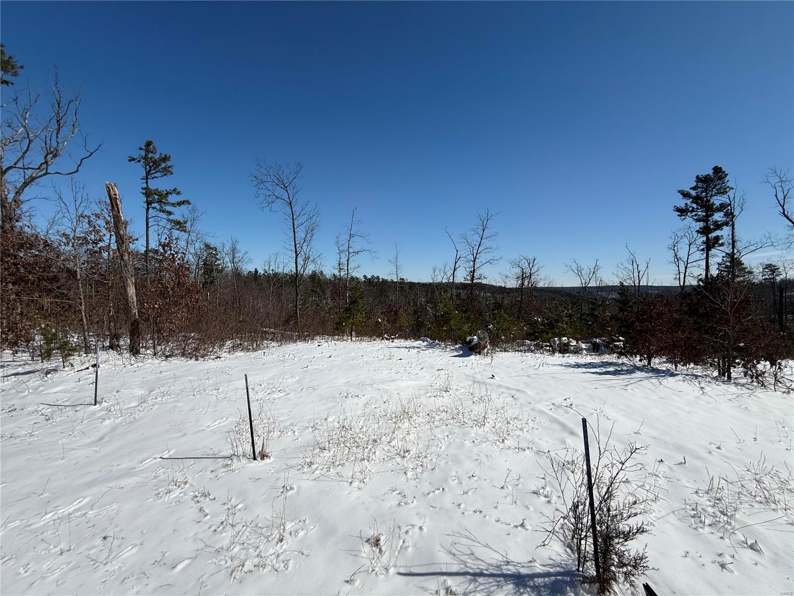 1 A Off Bidwell Creek Road Property Photo 11