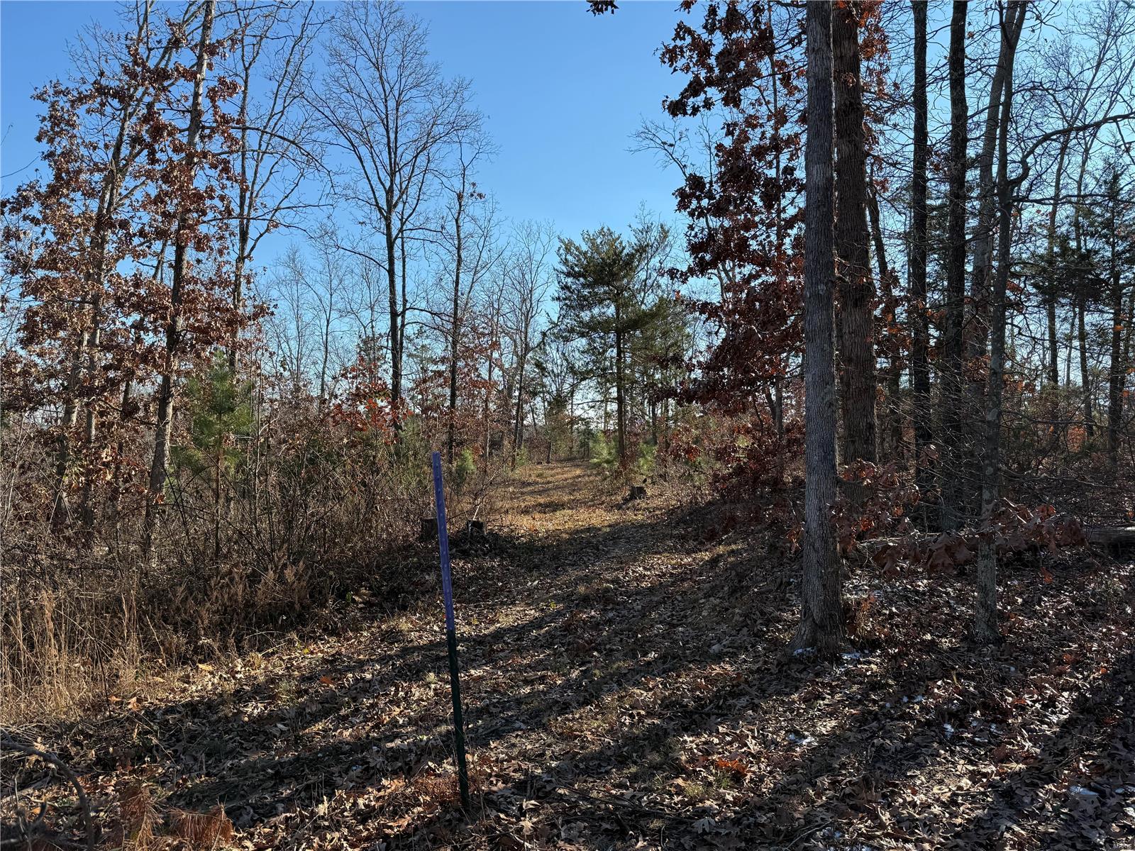 1 A Off Bidwell Creek Road Property Photo 16