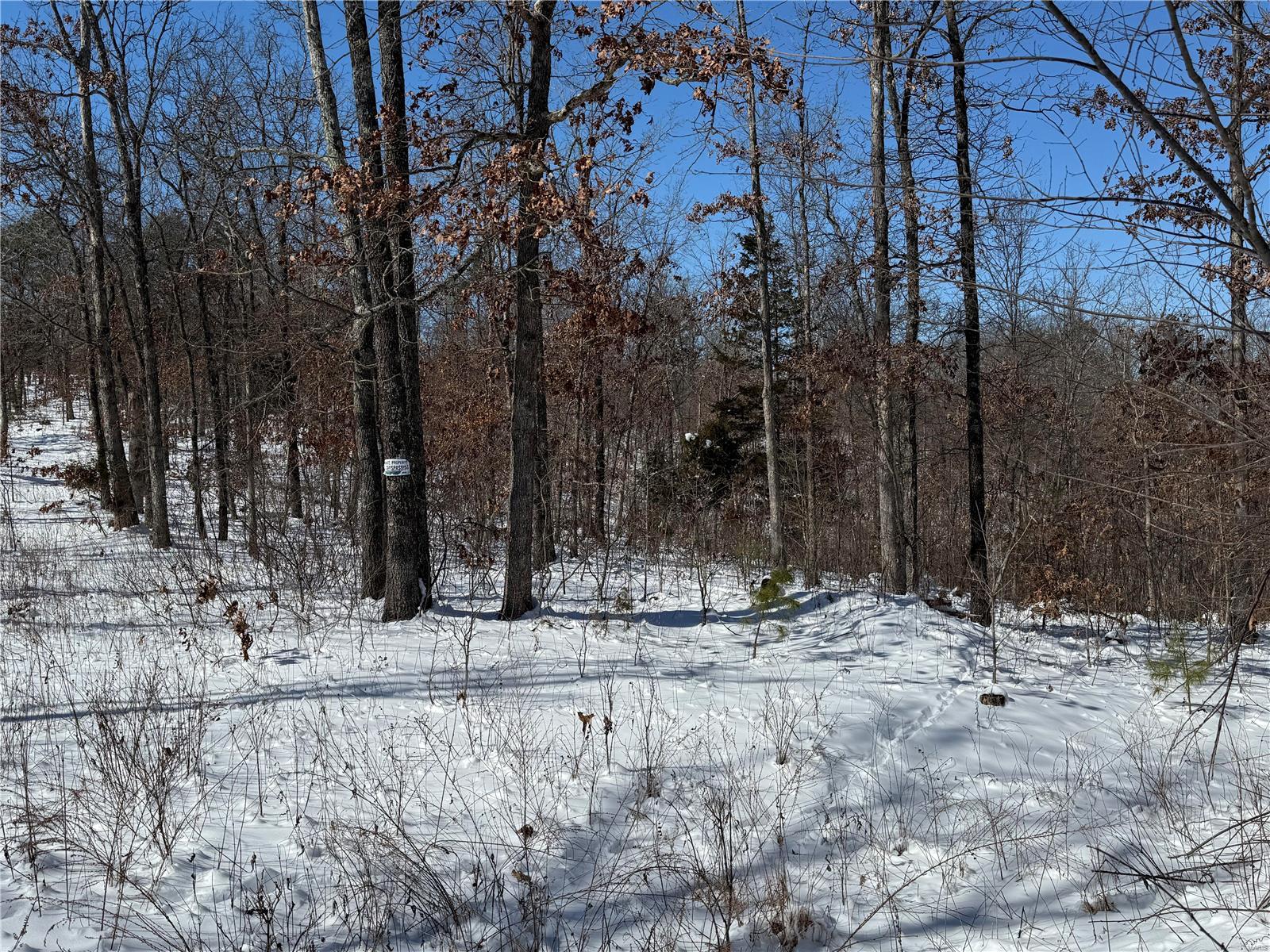 1 A Off Bidwell Creek Road Property Photo 19