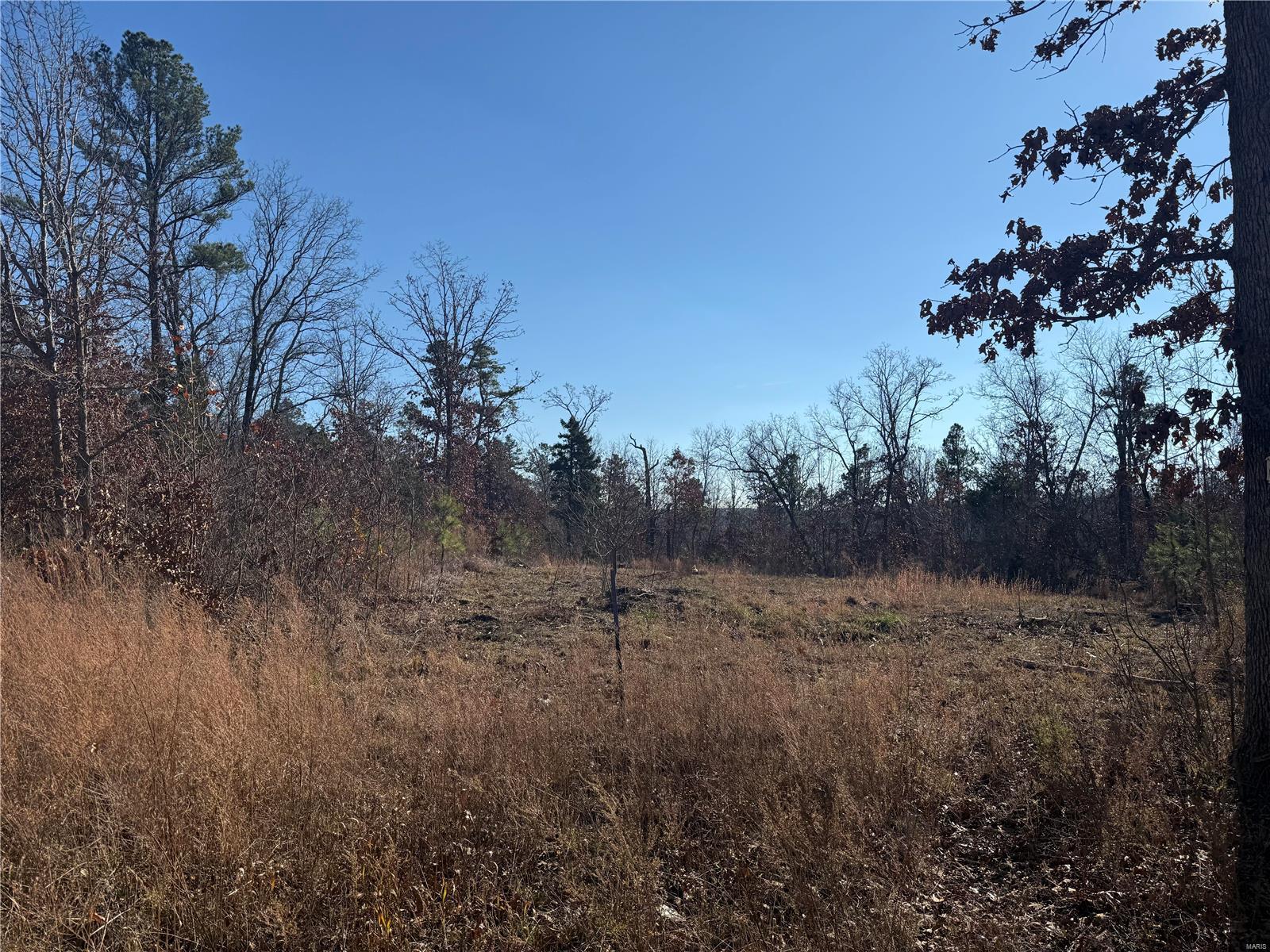 1 A Off Bidwell Creek Road Property Photo 23