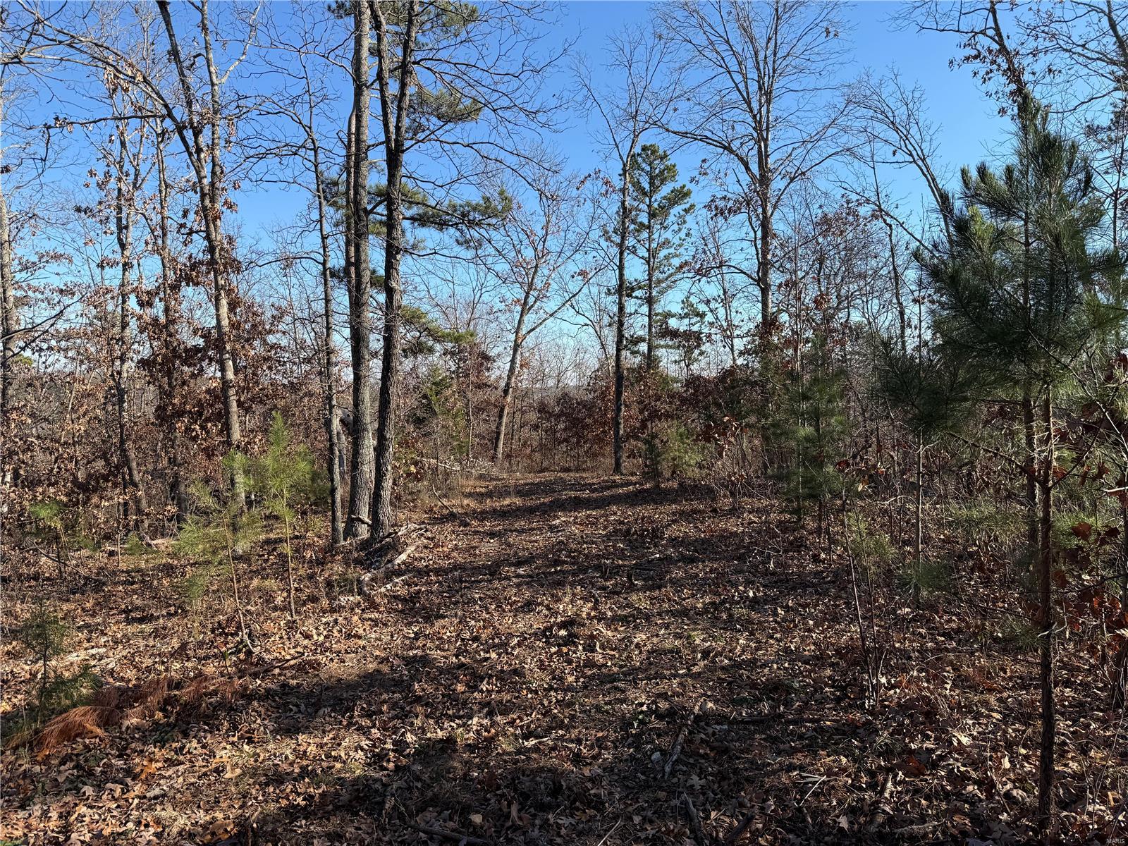 1 A Off Bidwell Creek Road Property Photo 26