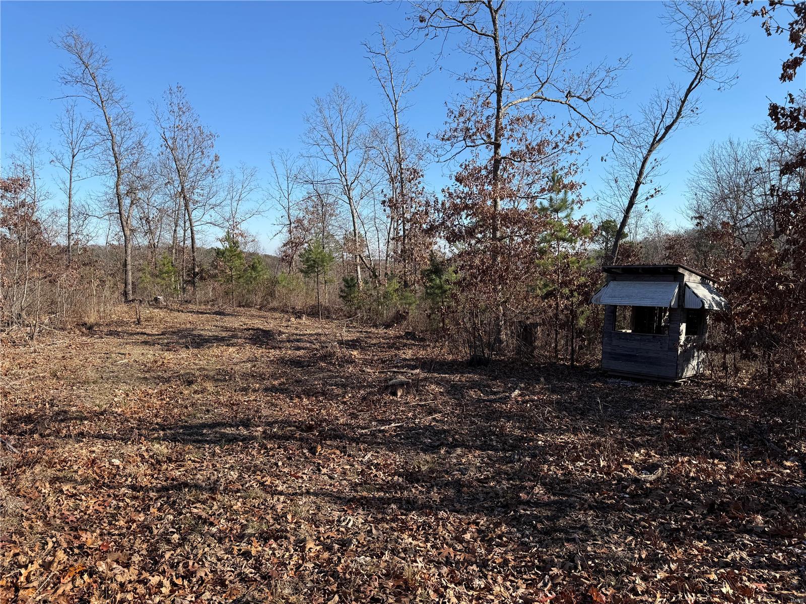 1 A Off Bidwell Creek Road Property Photo 27