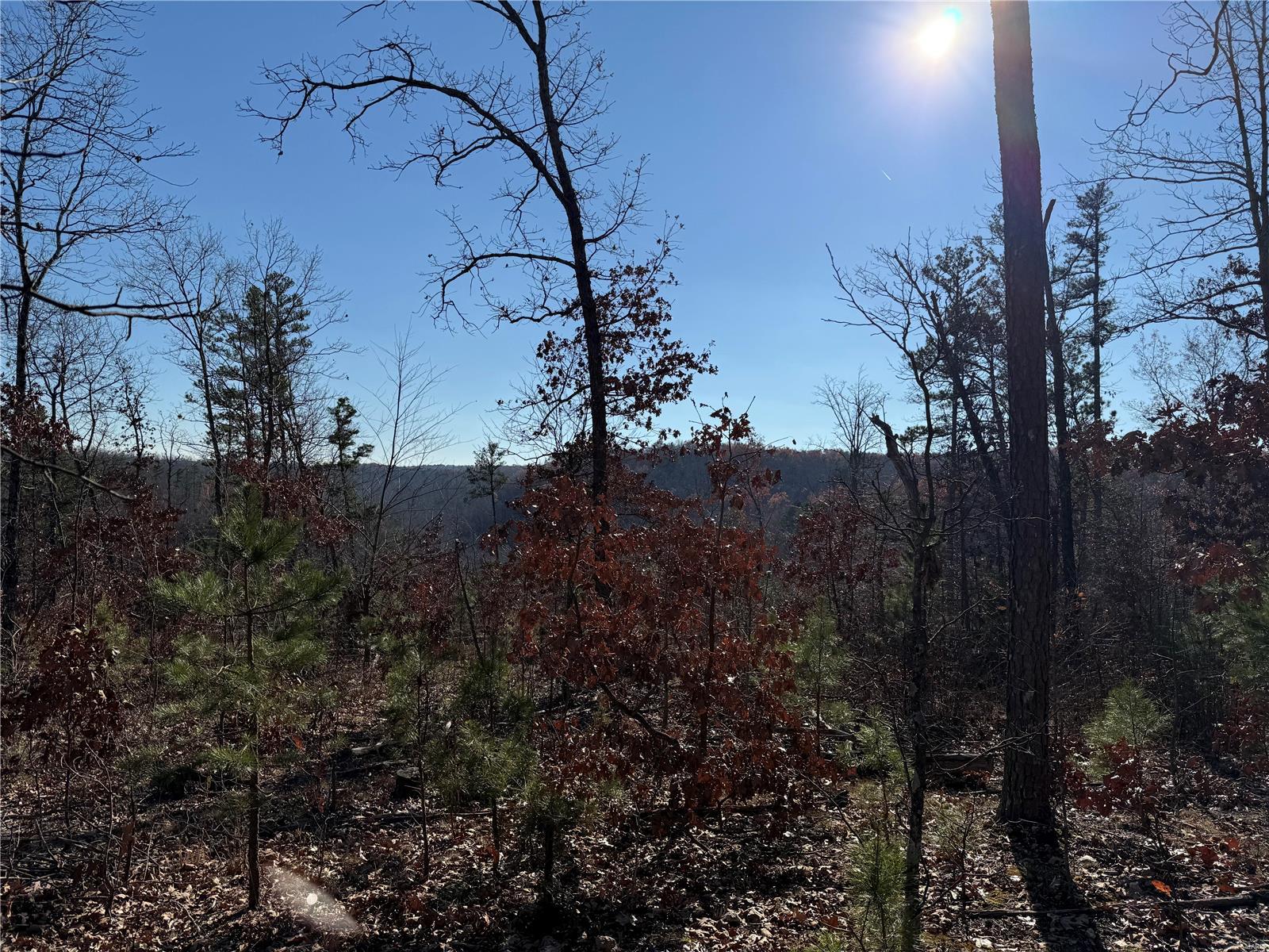 1 A Off Bidwell Creek Road Property Photo 28