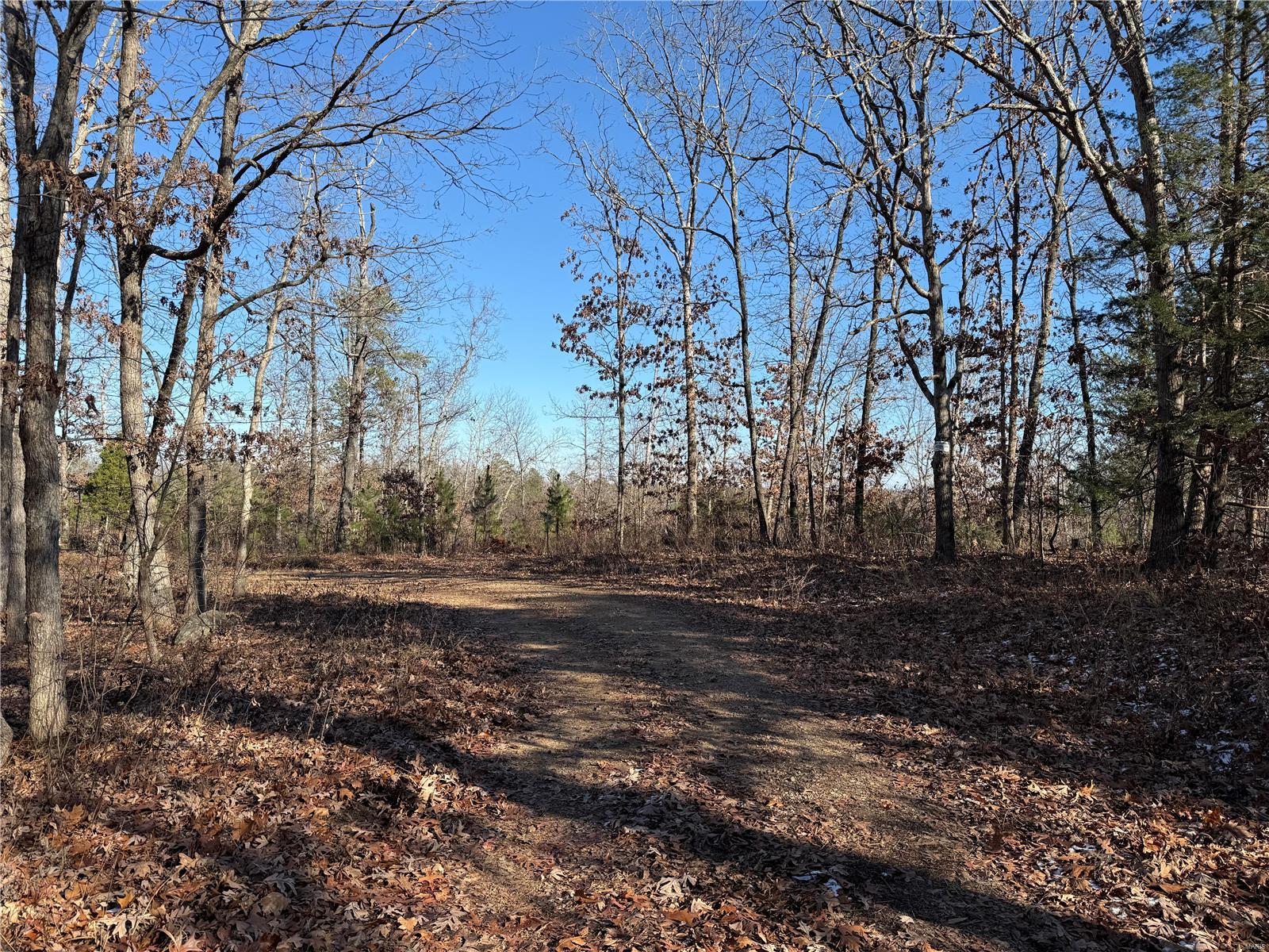 1 A Off Bidwell Creek Road Property Photo 31