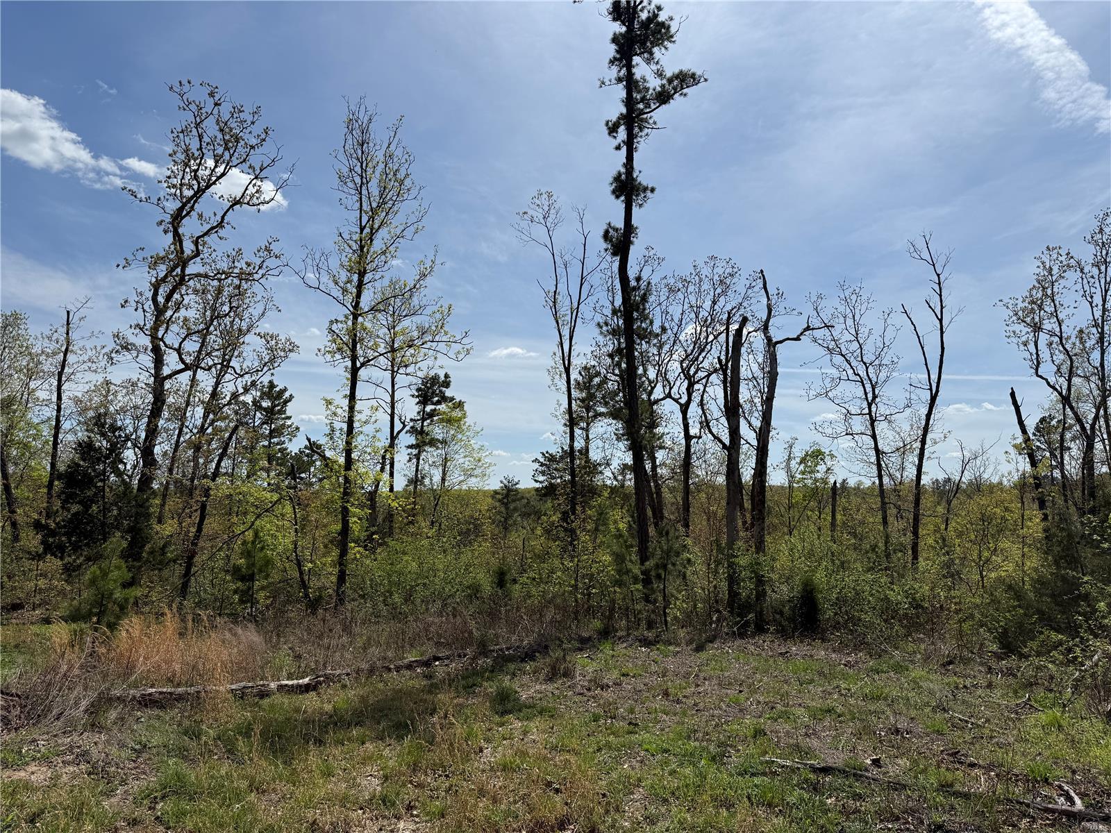1 B Off Bidwell Creek Road Property Photo 5