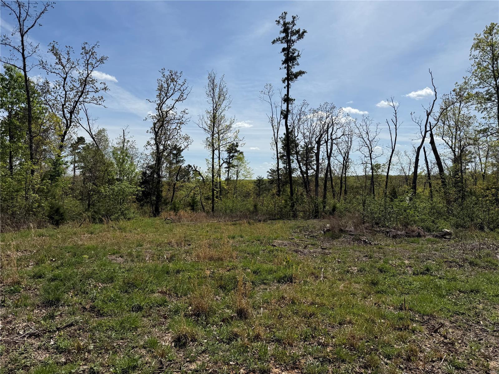 1 B Off Bidwell Creek Road Property Photo 6