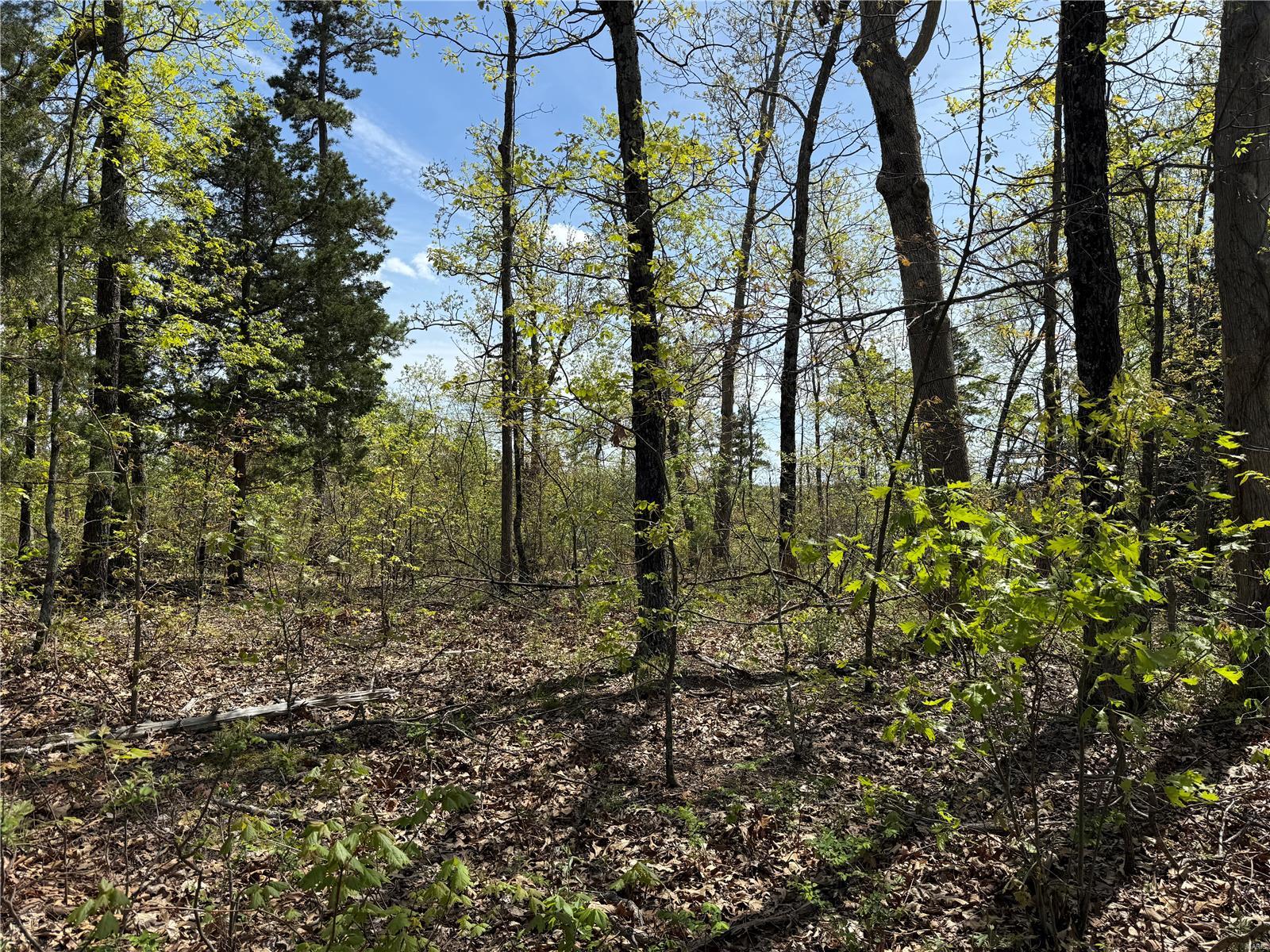 1 B Off Bidwell Creek Road Property Photo 8