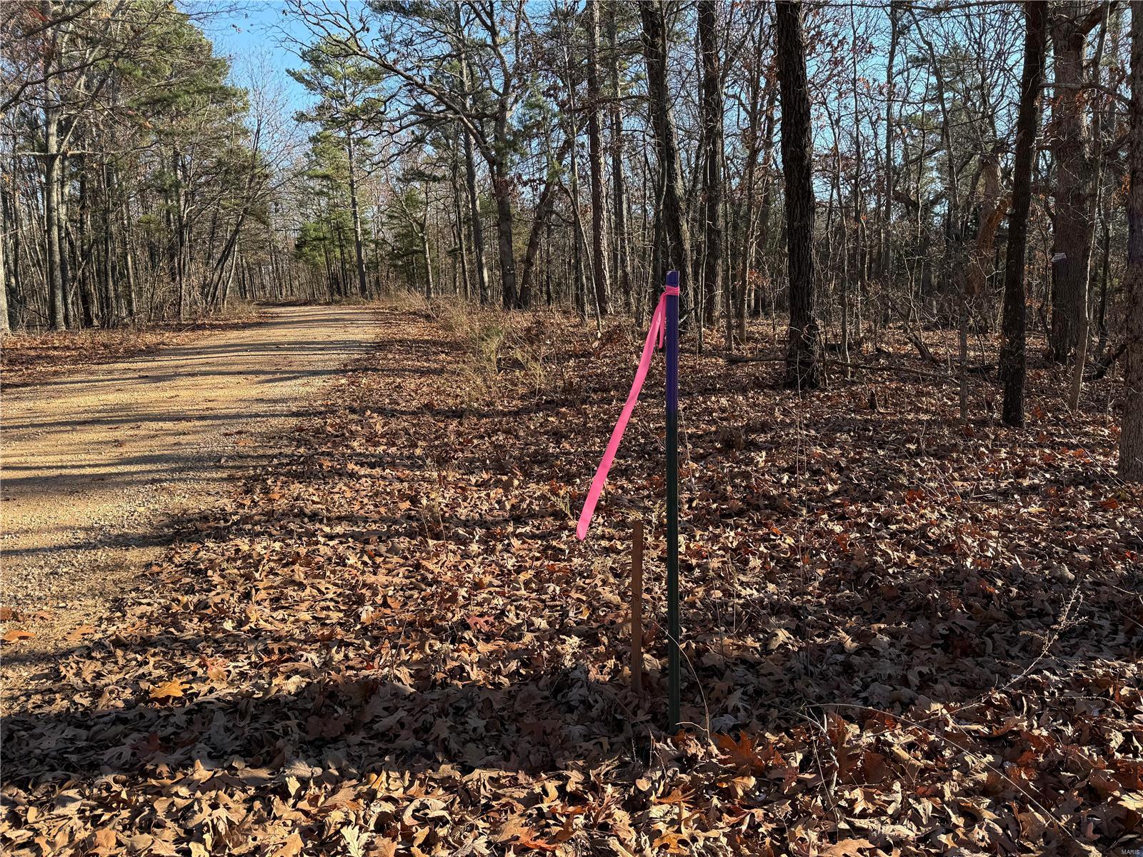 2 A Off Bidwell Creek Road Property Photo 6