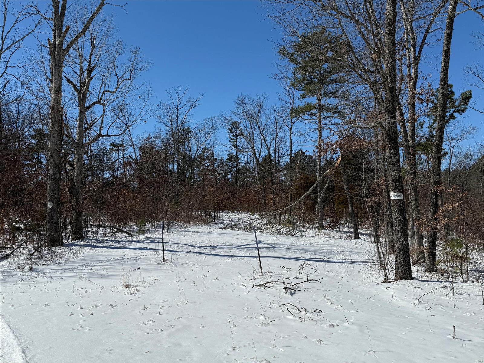 2 A Off Bidwell Creek Road Property Photo 8