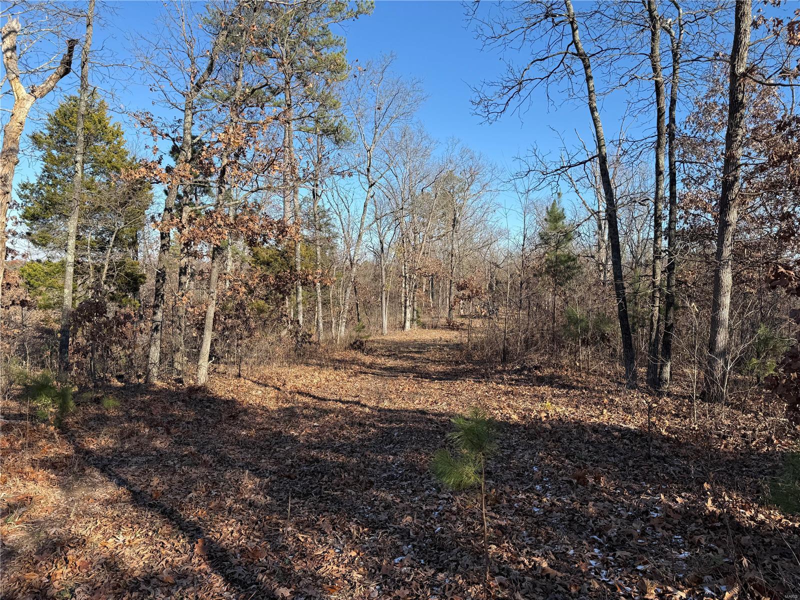 2 A Off Bidwell Creek Road Property Photo 9