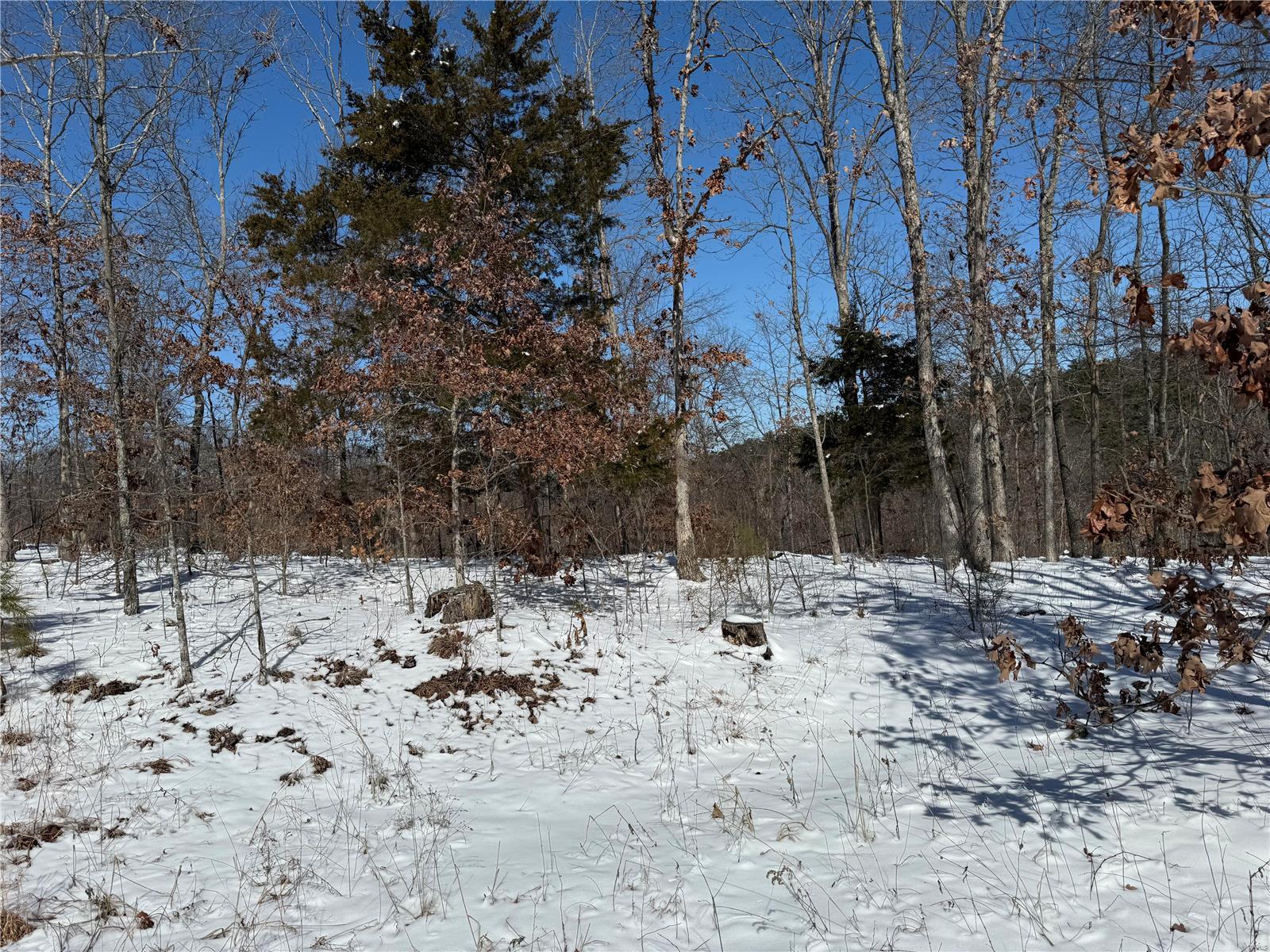 2 A Off Bidwell Creek Road Property Photo 29