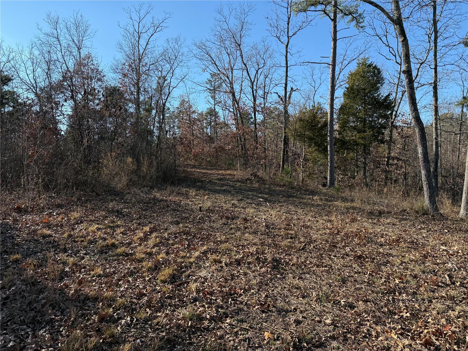 2 B Off Bidwell Creek Road Property Photo 22