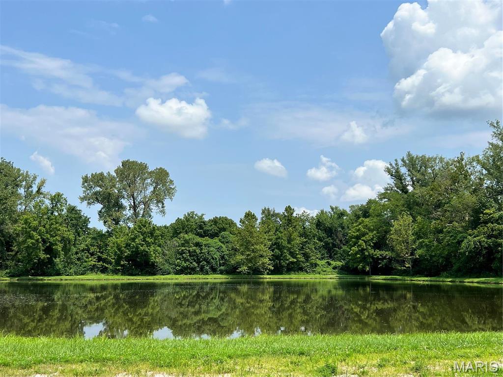 7963 Walker Meadows Drive Property Photo 15
