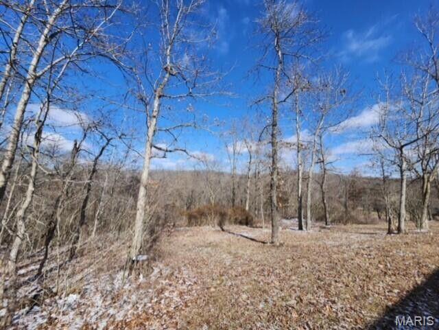 11498 M-weatherman Drive Property Photo 37