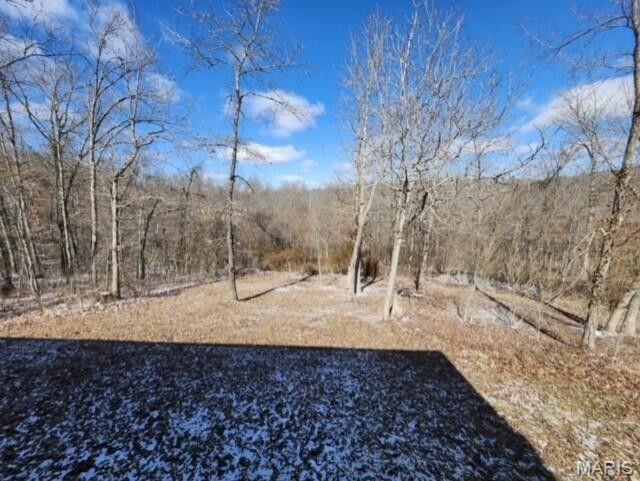 11498 M-weatherman Drive Property Photo 38
