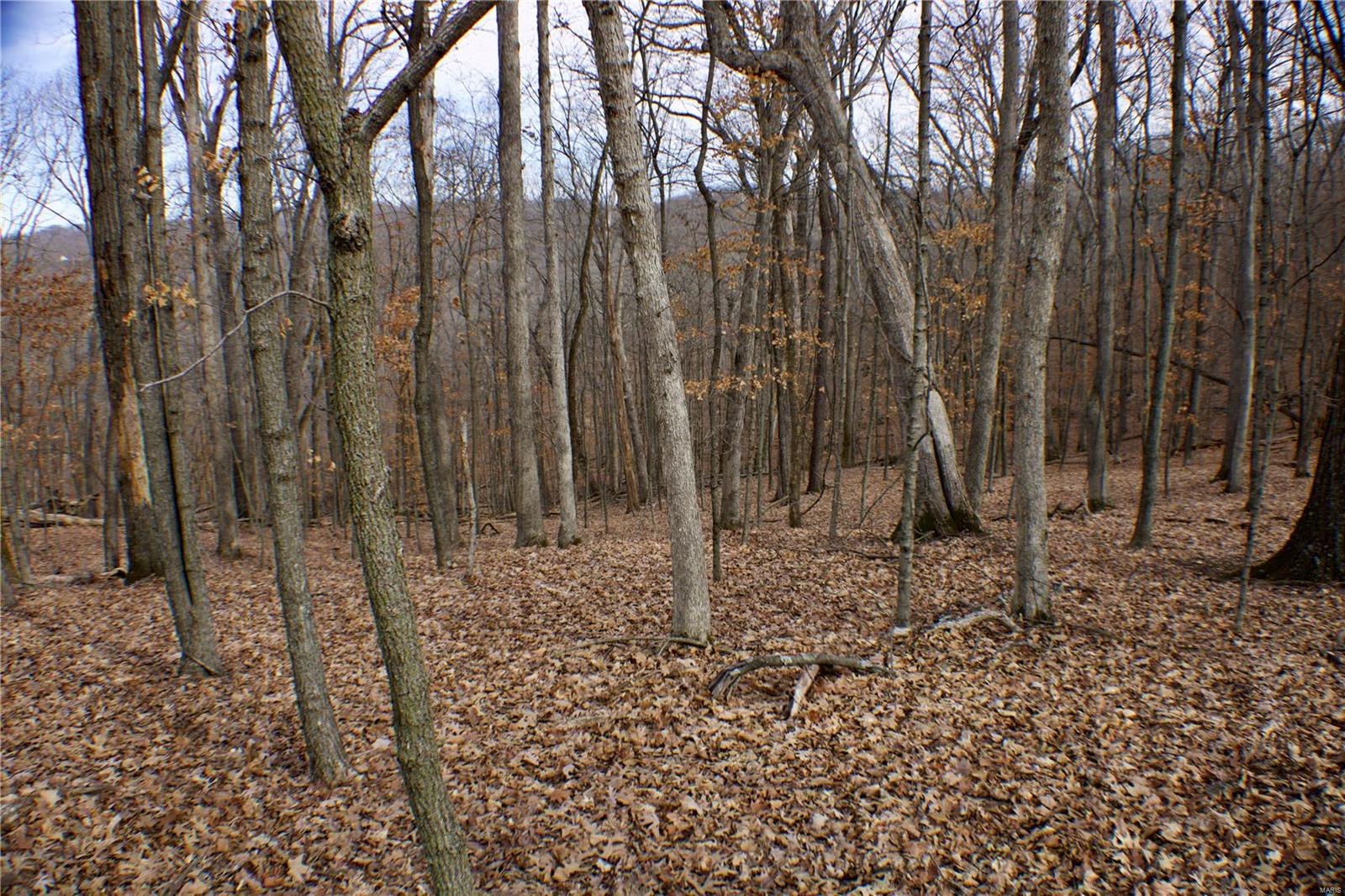 1 Misty Ridge (lot 2) Property Photo 3
